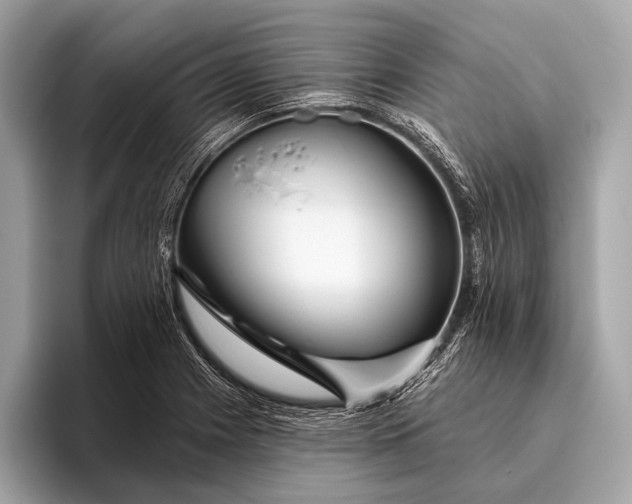 X0000095921225200801251023