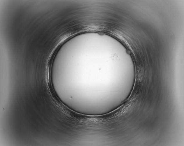 X0000095921227200801251023