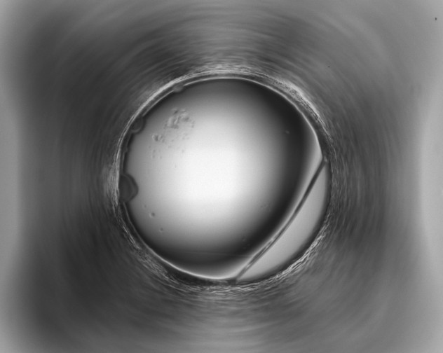 X0000095921228200801251023