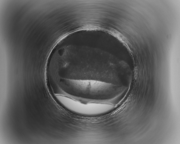 X0000095921229200801251023