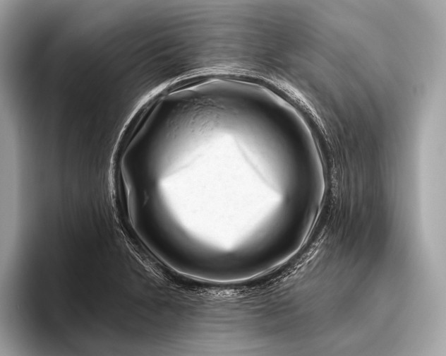 X0000095921230200801251023