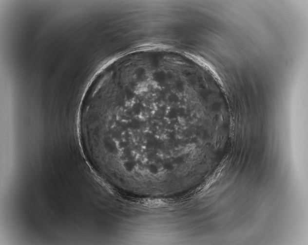 X0000095921231200801251023