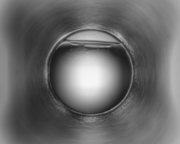 X0000095921232200801251023