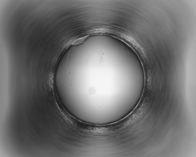 X0000095921233200801251023