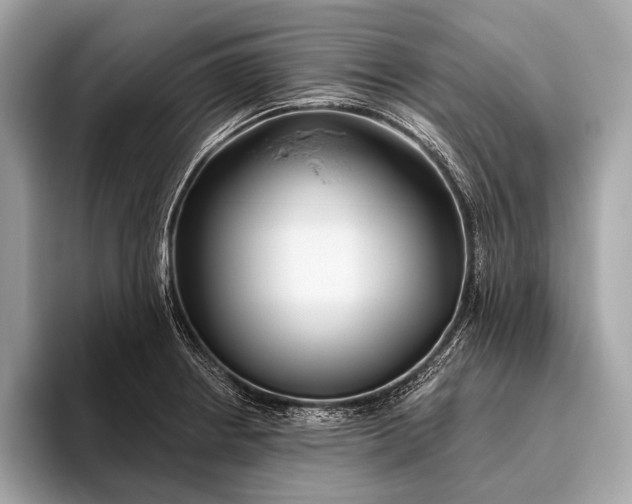 X0000095921234200801251023