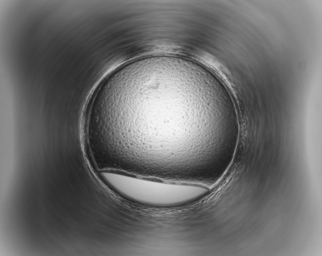 X0000095921235200801251023