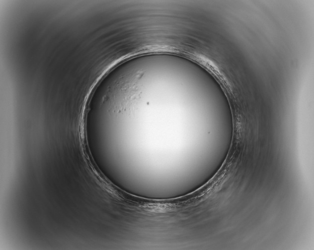 X0000095921236200801251023