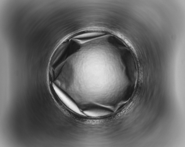 X0000095921237200801251023