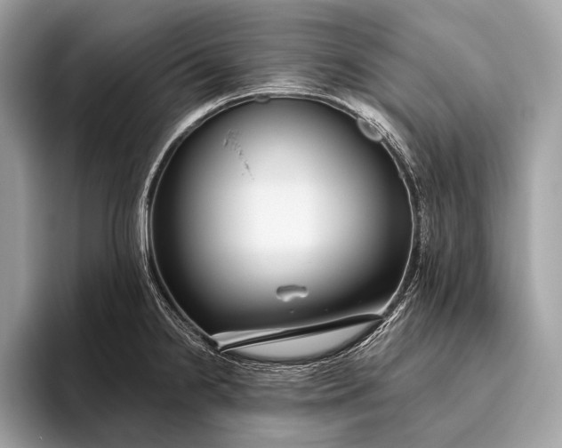 X0000095921238200801251023