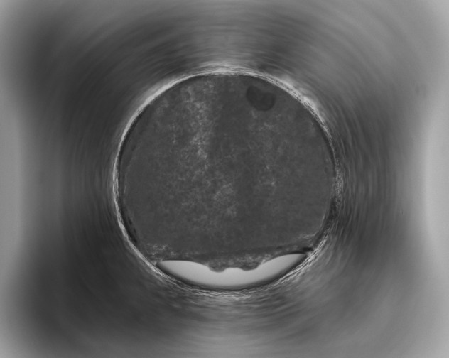 X0000095921239200801251023