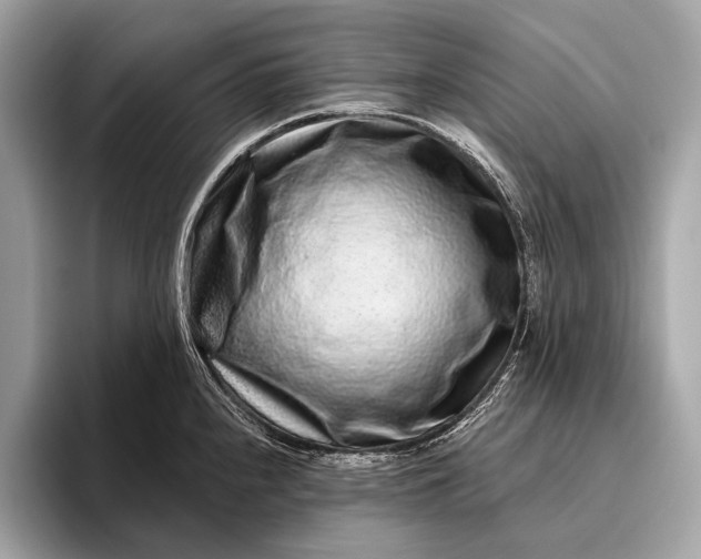 X0000095921240200801251023