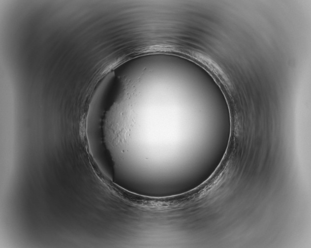 X0000095921241200801251023