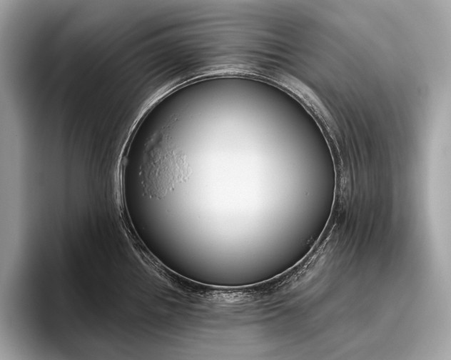 X0000095921242200801251023