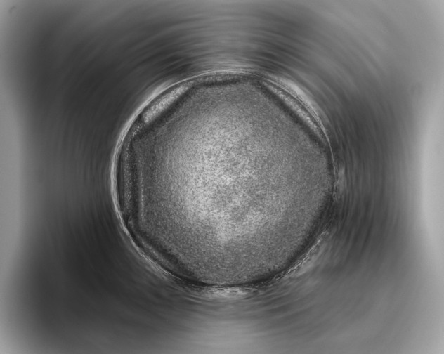 X0000095921243200801251023