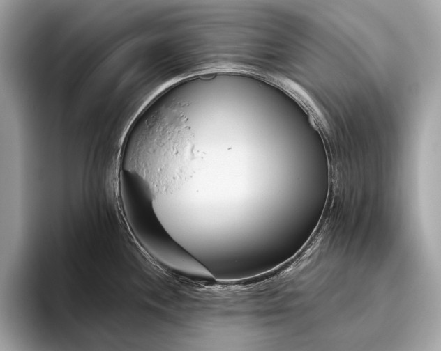 X0000095921244200801251023