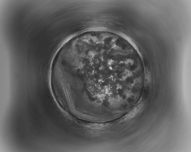 X0000095921245200801251023