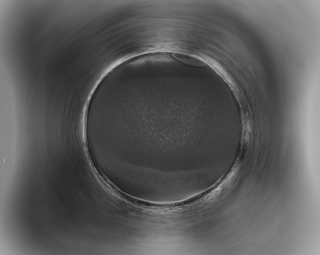 X0000095921246200801251023