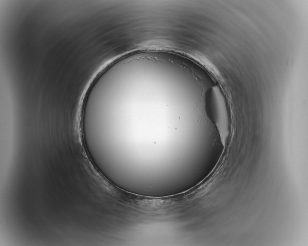 X0000095921248200801251023