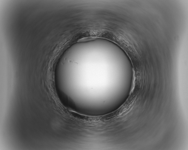 X0000095921249200801251023