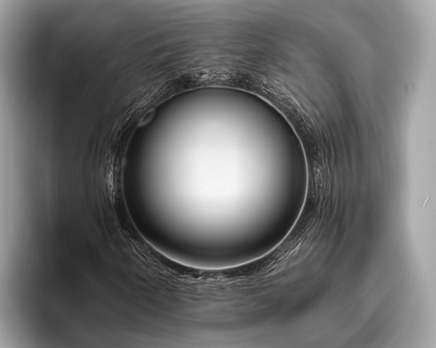 X0000095921250200801251023