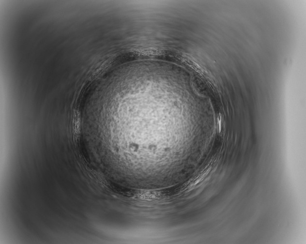 X0000095921251200801251023