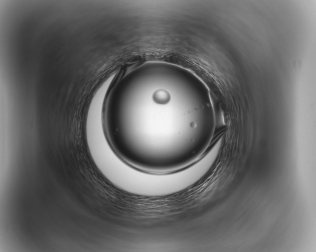 X0000095921252200801251023