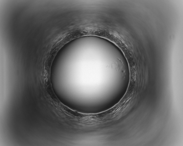 X0000095921253200801251023