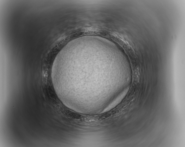 X0000095921254200801251023