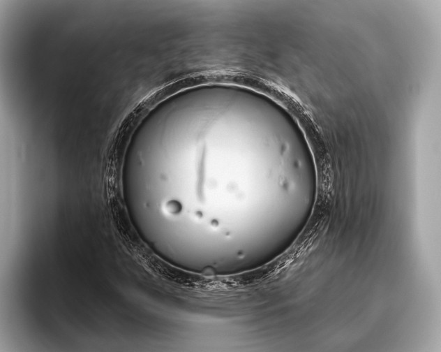 X0000095921255200801251023