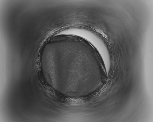 X0000095921256200801251023