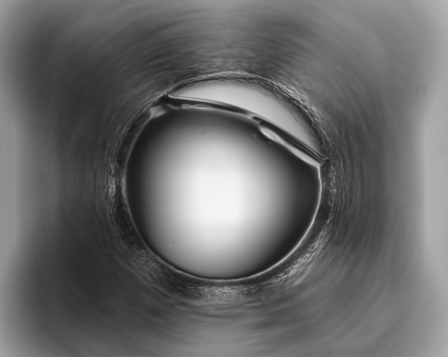 X0000095921257200801251023