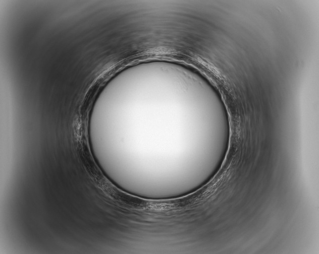 X0000095921258200801251023