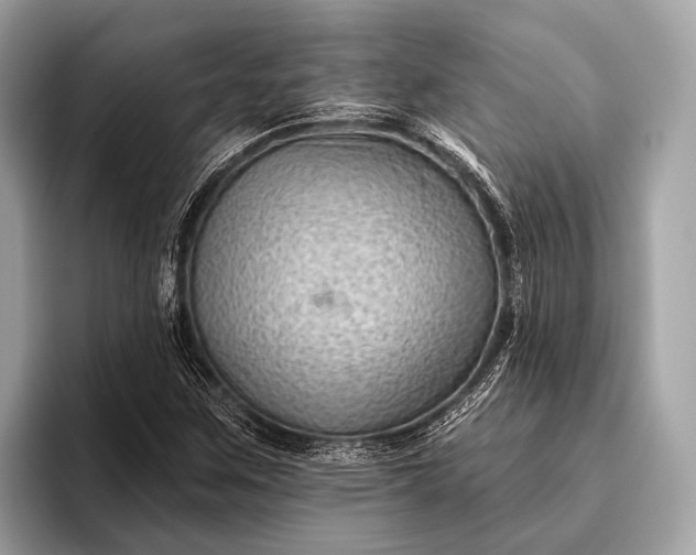 X0000095921259200801251023