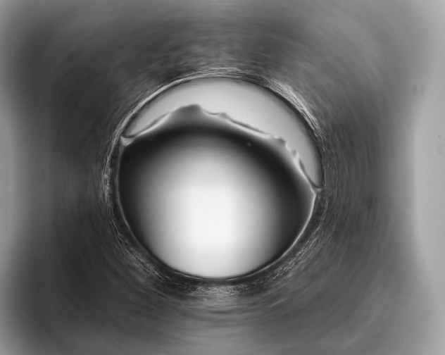 X0000095921260200801251023