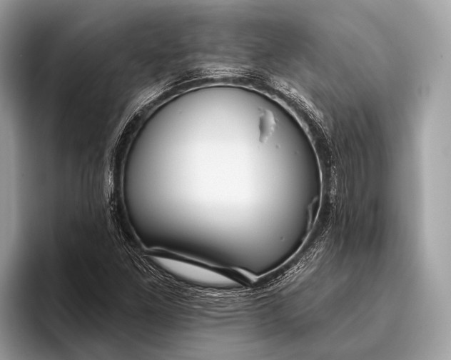 X0000095921261200801251023