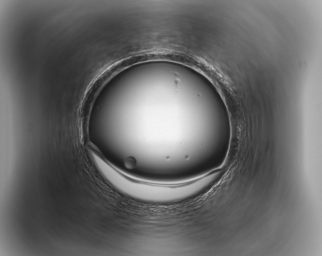 X0000095921262200801251023