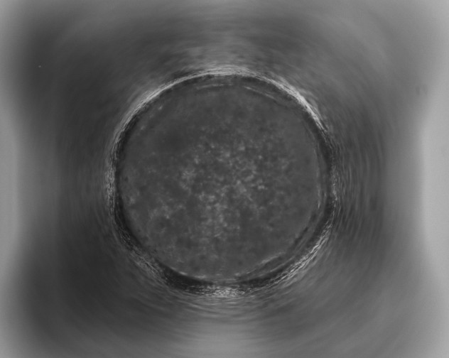 X0000095921263200801251023