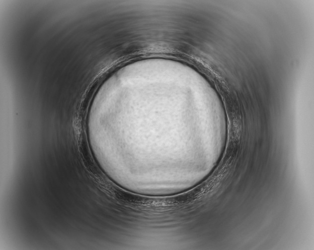 X0000095921266200801251023