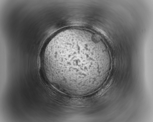 X0000095921267200801251023