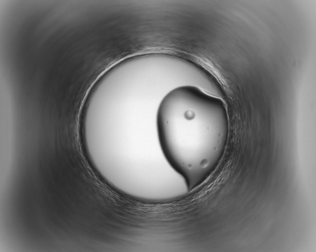 X0000095921268200801251023