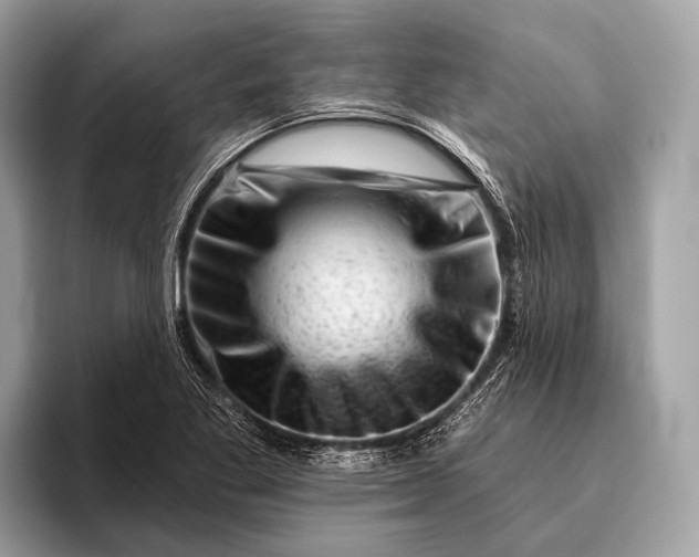 X0000095921269200801251023