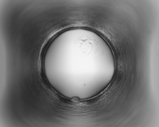 X0000095921270200801251023