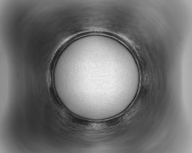 X0000095921271200801251022