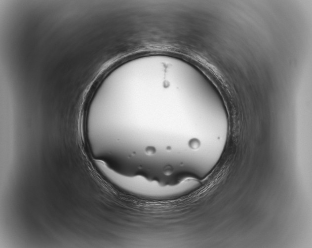 X0000095921272200801251022