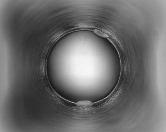 X0000095921273200801251022