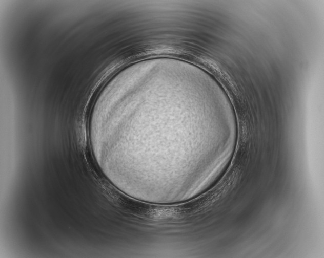 X0000095921274200801251022