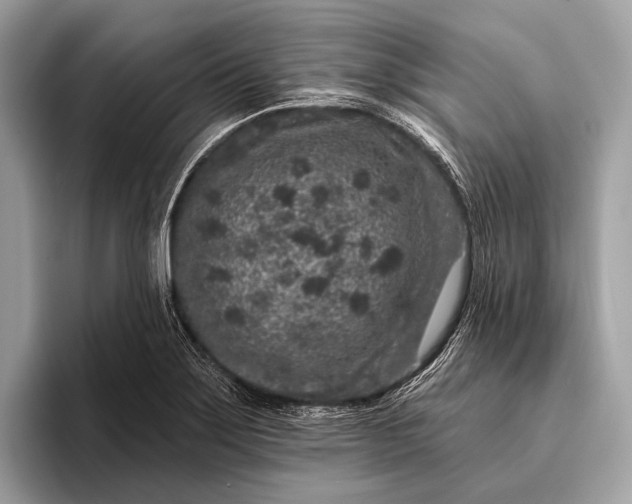 X0000095921275200801251022