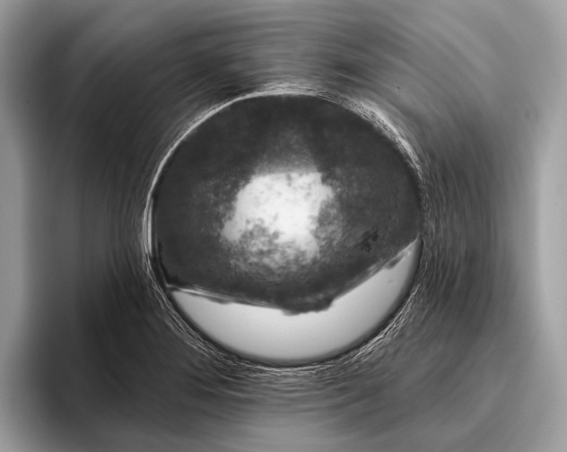 X0000095921276200801251022