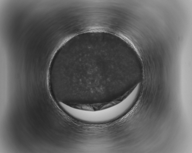 X0000095921277200801251022