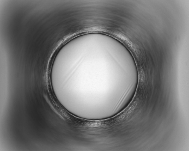 X0000095921278200801251022